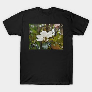 Magnolia Bloom 4 T-Shirt